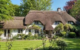 Thatched Eaves
