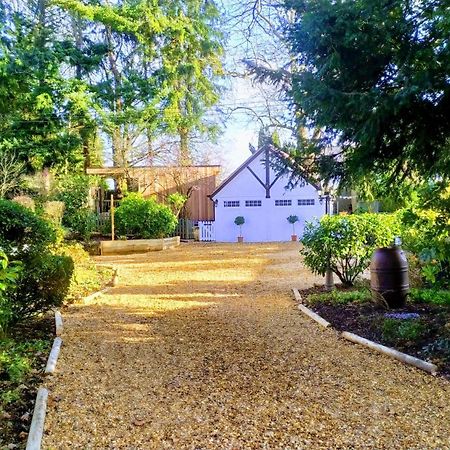 Thatched Eaves Ibsley Exterior photo