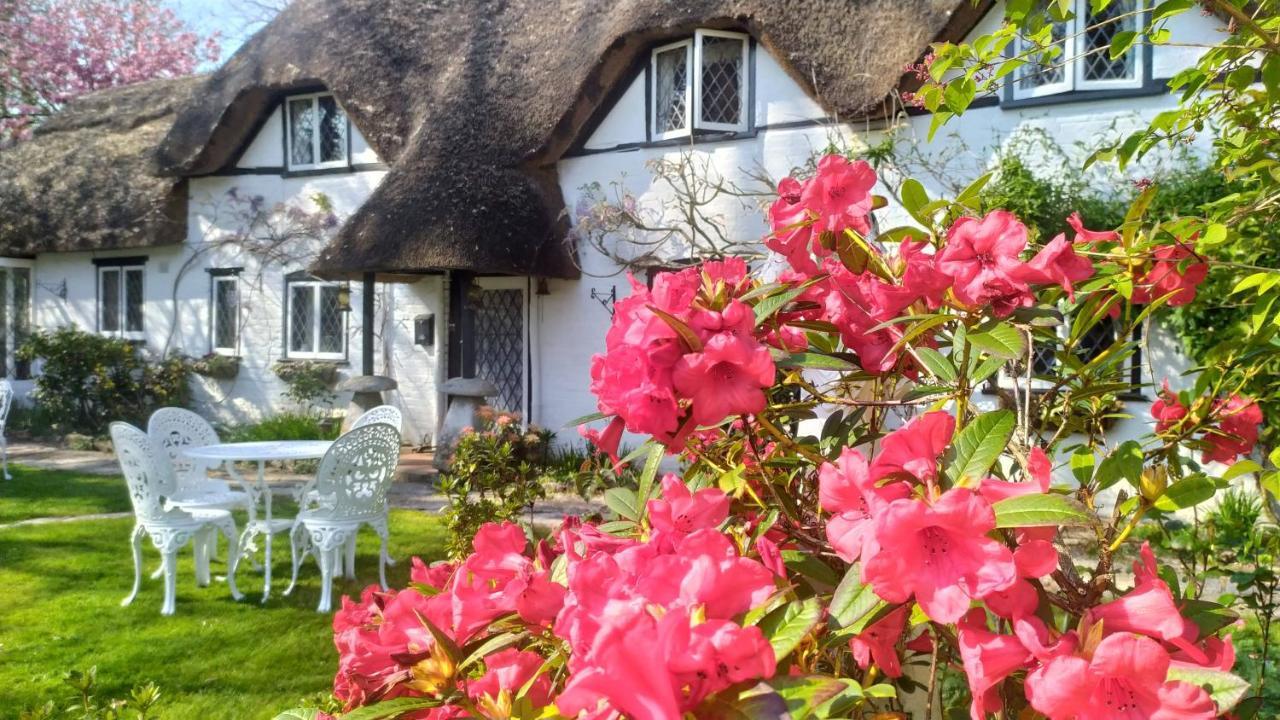 Thatched Eaves Ibsley Exterior photo