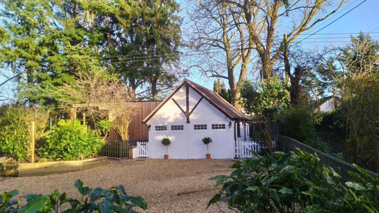 Thatched Eaves Ibsley Exterior photo