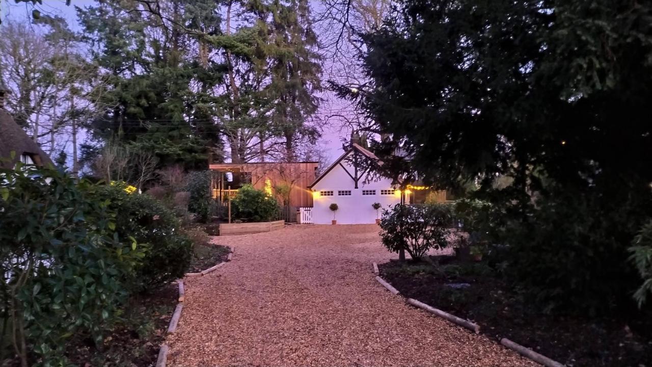 Thatched Eaves Ibsley Exterior photo