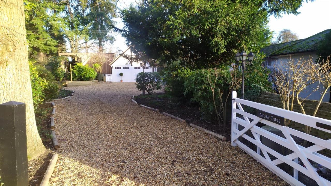 Thatched Eaves Ibsley Exterior photo