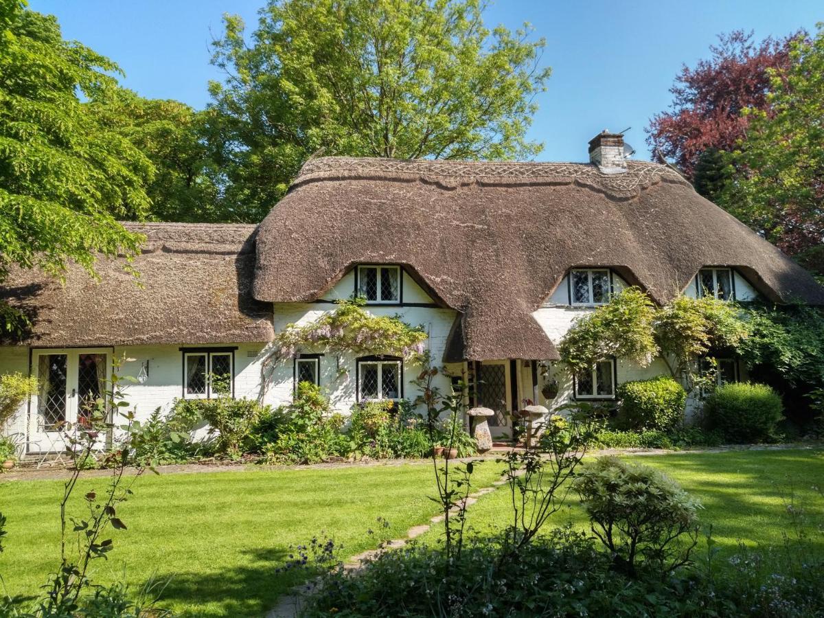 Thatched Eaves Ibsley Exterior photo