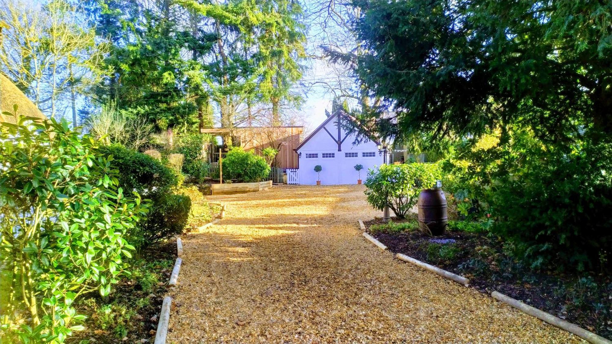 Thatched Eaves Ibsley Exterior photo